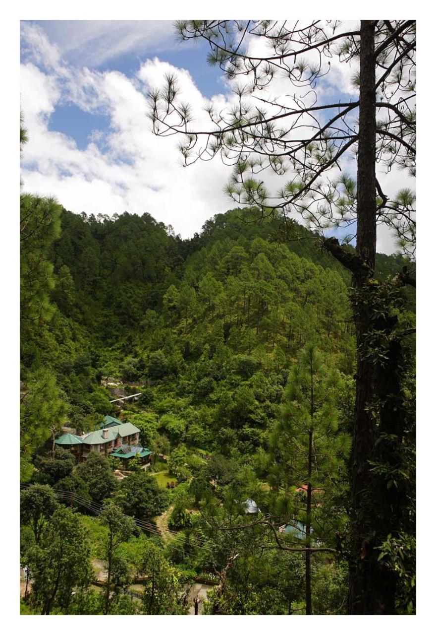Saffronstays Himalaica, Nainital Bhowali Zewnętrze zdjęcie